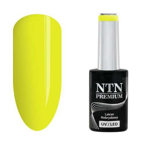 Lakier hybrydowy Ntn Premium Delight Sorbet Collection 5 g Nr 147