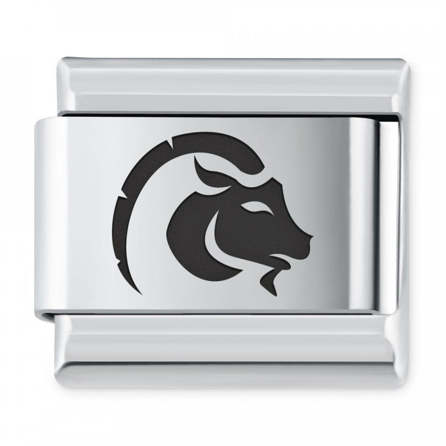 ITALIAN CHARMS Znak zodiaku Koziorożec