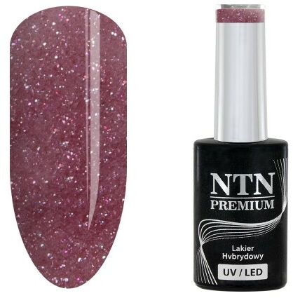 Lakier hybrydowy Ntn Day Dreaming Collection 5 g Nr 55