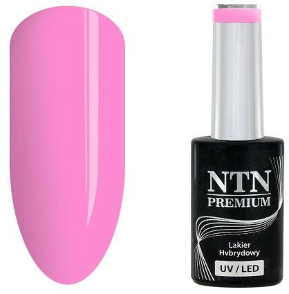 Lakier hybrydowy Ntn Premium Splash Collection 5 g Nr 124
