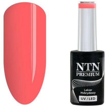 Lakier hybrydowy Ntn Premium Celebration Collection 5 g Nr 164