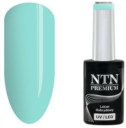 Lakier hybrydowy Ntn Premium Garden Party Collection 5 g Nr 177