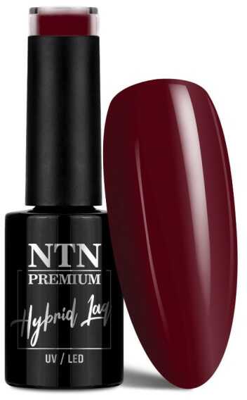 Lakier hybrydowy Ntn Premium After Midnight Collection 5 g Nr 67