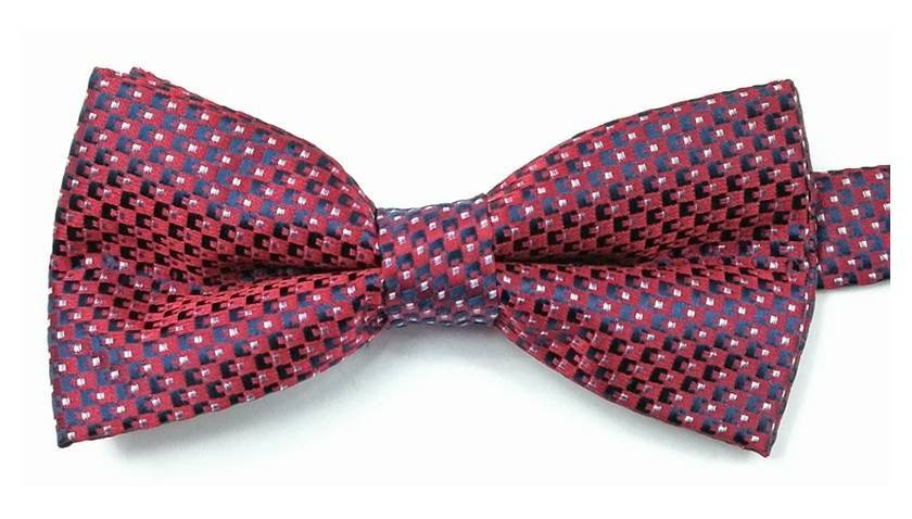Elegancka mucha Vernon MUVRN0023