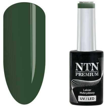 Lakier hybrydowy Ntn Premium Fiesta Collection 5 g Nr 76