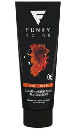 Odżywka do półtrwałej koloryzacji włosów w kremie Funky Color 100ml Nr 6